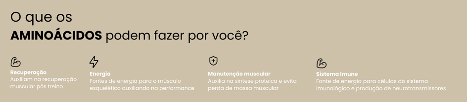 Imagem da seção 